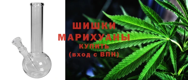 молекула духа Каменка