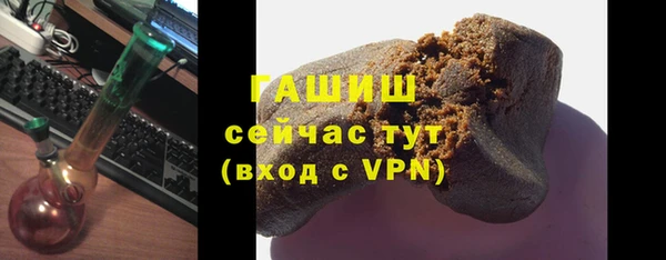 стаф Каменногорск