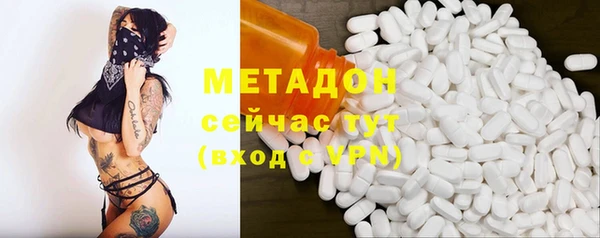 стаф Каменногорск