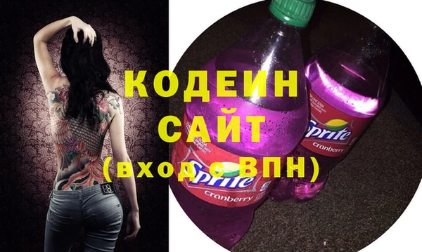 молекула духа Каменка