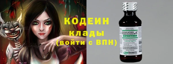 стаф Каменногорск
