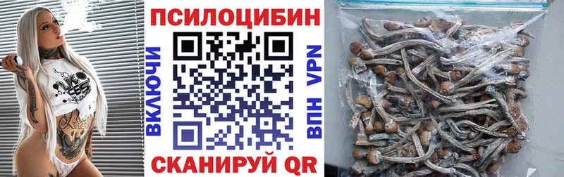 Псилоцибиновые грибы Psilocybe  Петрозаводск 