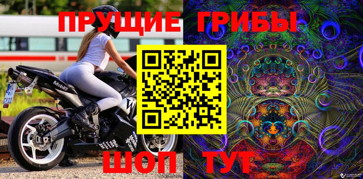 Псилоцибиновые грибы Magic Shrooms Петрозаводск