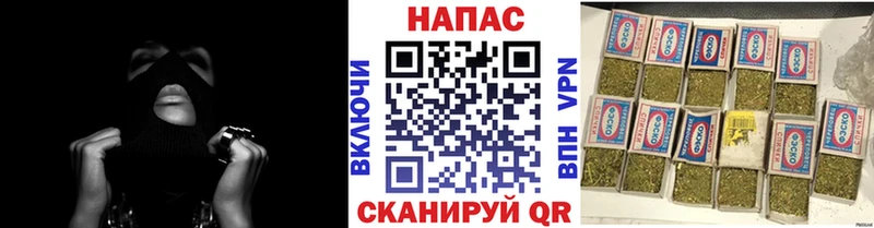 купить  сайты  Петрозаводск  Канабис план 